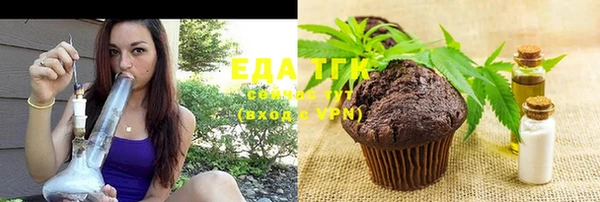 твердый Инсар
